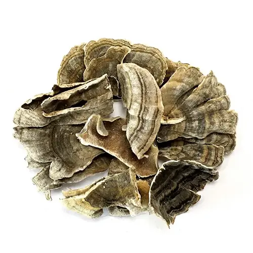 乾雲芝（土耳其尾菇）（100克） 